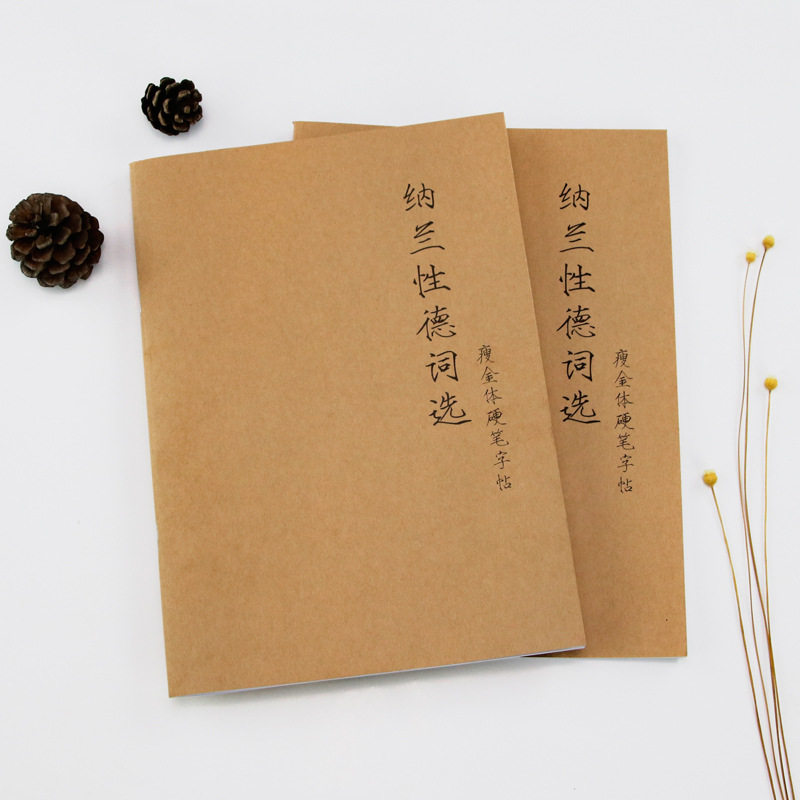 纳兰性德词选钢笔字帖牛皮封面硬笔书法临摹瘦金体描红古诗词经典