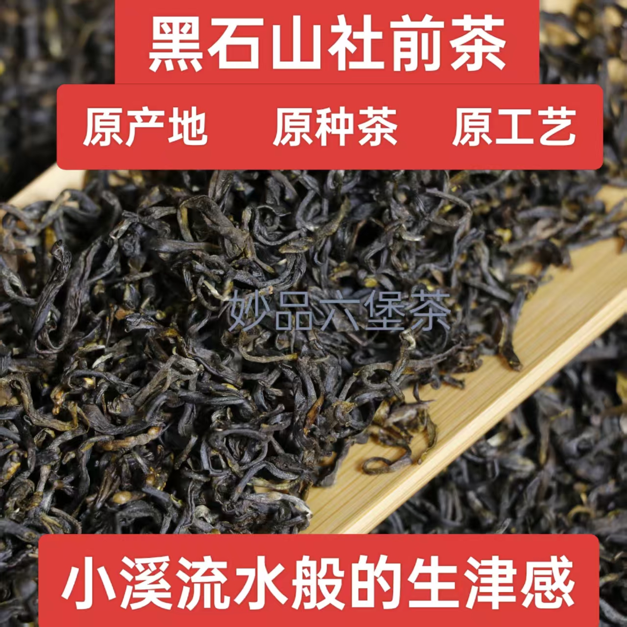 三原六堡茶2025年正宗六堡镇黑石山原种社前茶果香花蜜香清香回甘