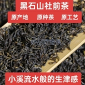 梧州特产六堡茶2026年正宗黑石山原种社前茶果香花蜜香回甘生津