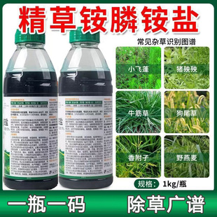 除草剂精草铵磷铵盐正品除草剂杀草剂荒地专用除草剂草胺磷除草剂
