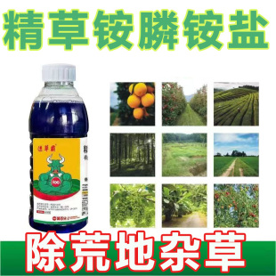 精草铵膦铵盐草胺膦荒地除草剂果园树林田埂牛筋草恶性杂草除草剂