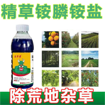 精草铵膦铵盐草胺膦荒地除草剂果园树林田埂牛筋草恶性杂草除草剂
