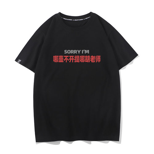 sorry哪壶不开提哪胡老师夏季搞笑短袖T恤男女打底衫情侣半袖纯棉