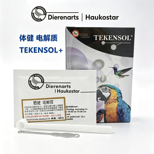 荷兰豪鸽体健电解质调节平衡