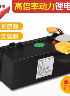 阿尔郎电动平衡车锂电池36V通用型长款54V合一原装适用S1S2S11