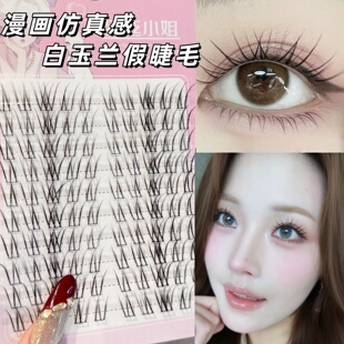 白玉兰漫画上睫毛自然仿真不规则横向放大双眼单簇清透睫毛嫁接感