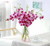 进口洋兰紫色鲜切花鲜花水养水培家用室内寺庙供奉插花云南直发