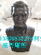 深圳金属半身铜像学校名人胸像雕塑博物馆历史文化雕塑黄铜雕塑