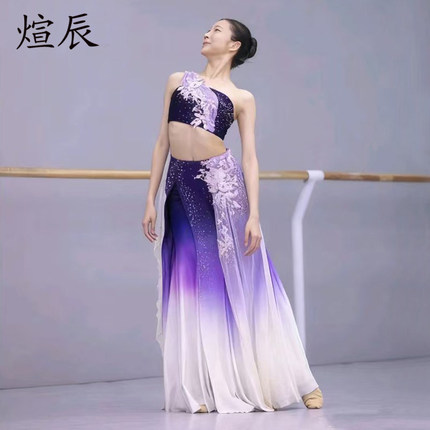 新款傣族舞蹈独舞孔雀舞傣族舞高级演出服飘逸大摆裙艺考剧目服装