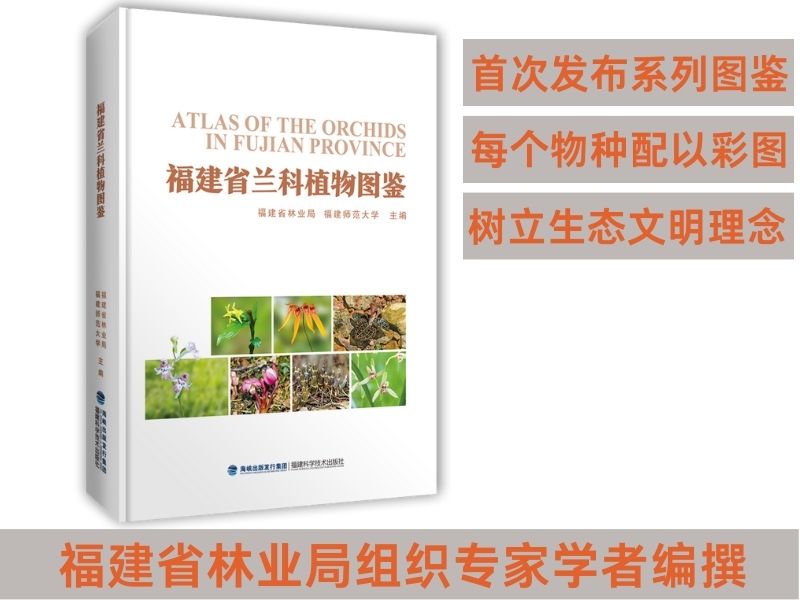 官方旗舰店】福建省兰科植物图鉴