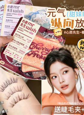Mr.wish心愿先生免胶假睫毛春甜素颜睫白日梦下睫毛韩蕾妆睫毛
