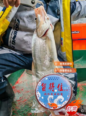 留得住虾窝饼鱼吊打窝王诱南极饼筏钓鸭嘴翘嘴糠饼高蛋白饵料诱鱼