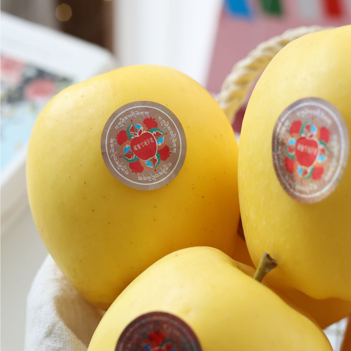 高原雪域苹果丑果云巅秘藏冰川赤霞苹果半野生冰糖心孕妇宝宝应季