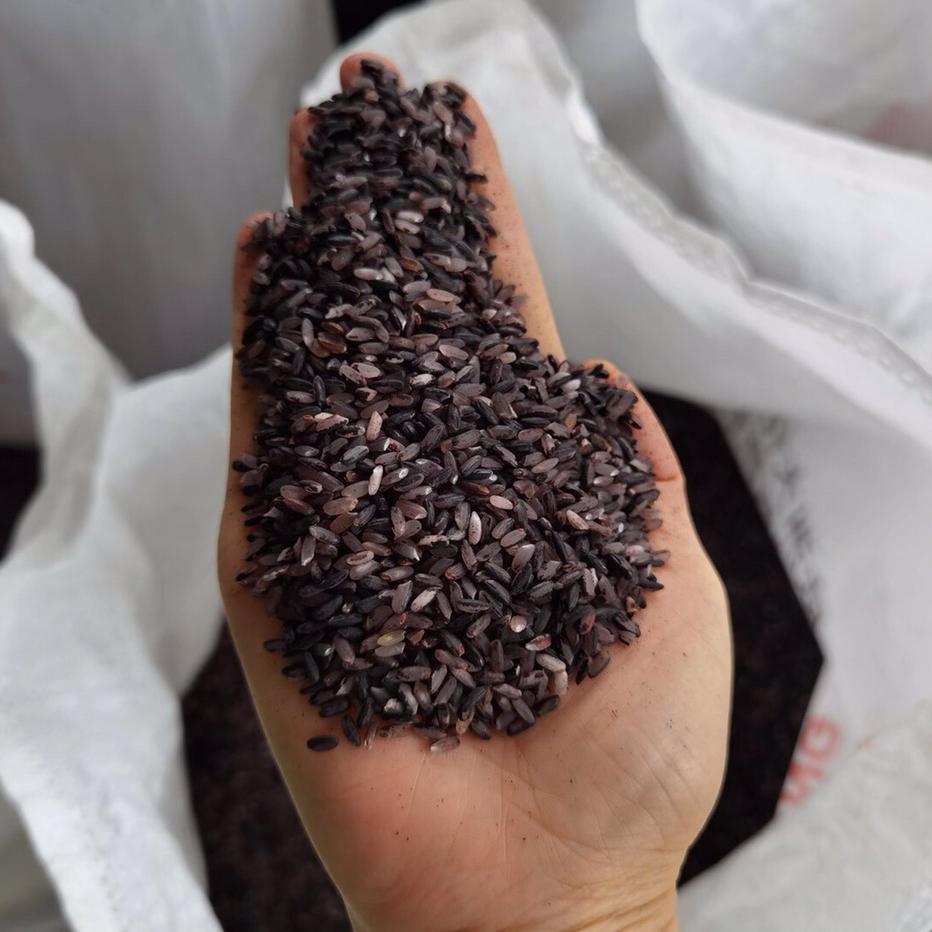 晨以十鸭血糯米江苏常熟糯米