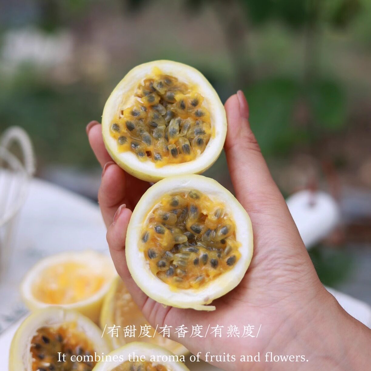 黄金百香果新鲜特级树上