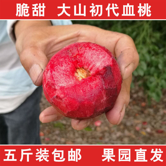 红桃血桃时令新鲜水果桃子10斤包邮毛桃子孕妇水果猪血桃雪桃