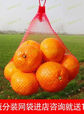 核桃加厚网袋水果大枣板栗干果收纳塑料小红色鸡蛋网兜桂圆龙眼