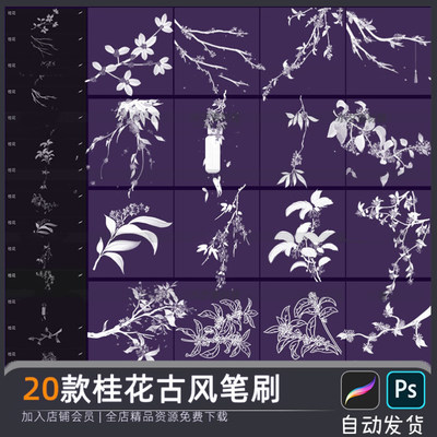 procreate笔刷古风桂花花卉植物手绘淡雅花枝花瓣PS笔刷辅助线稿