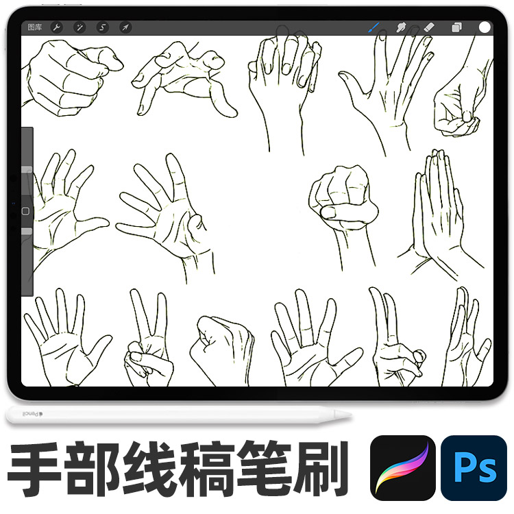 procreate笔刷手部结构线稿辅助线握拳牵手合掌等手势大全 ps笔刷