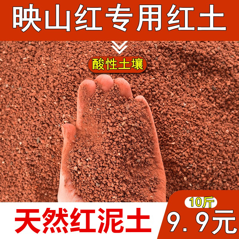 映山红专用土红土基地专用直供微酸性土壤盆栽盆景铁元素丰富