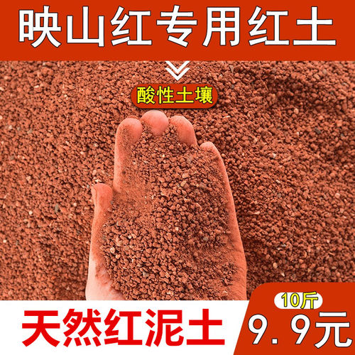 映山红专用土基地直供酸性