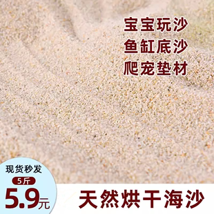 宝宝沙子天然海沙子儿童玩沙滩沙子幼儿园沙池用沙子5斤10斤 包邮