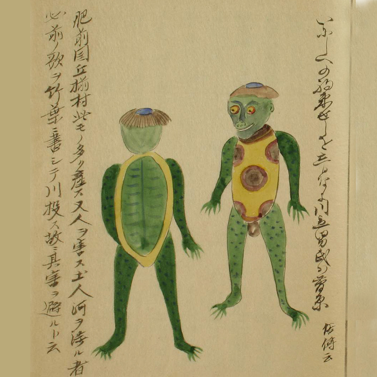 古代千百种动物虫子彩色写生图集动物绘画写生临摹参考高清素材