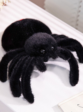 仿真黑色小蜘蛛玩偶可爱公仔宝宝安抚玩偶毛绒玩具布娃娃宠物摆件