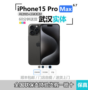 Apple/苹果 iPhone 15 Pro Max 6.7英寸国行武汉市内60分钟送货