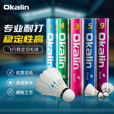 澳加林羽毛球比赛用球