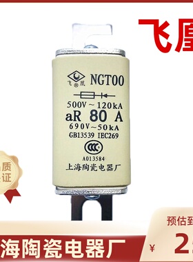飞凰NGT00-80A100A160A32A快速熔断器上海陶瓷电器厂690v螺栓安装