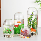 大口径生态瓶青苔藓微景观玻璃缸盆景摆件造景盆栽创意绿植物 包邮