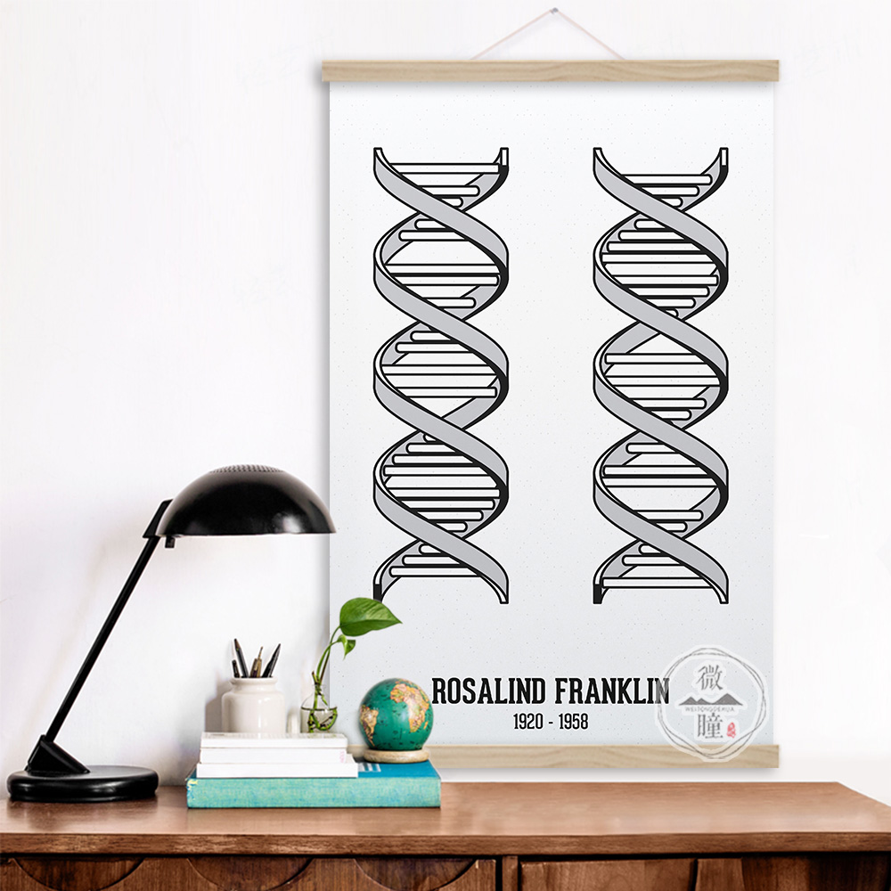 物理学海报罗莎琳德dna双螺旋结构装饰画教室科学挂画书房实木画