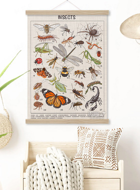 常见昆虫装饰画甲虫蜘蛛螳螂蜜蜂蚂蚁英文insects海报儿童房挂画