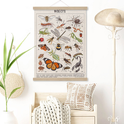 常见昆虫装饰画甲虫蜘蛛螳螂蜜蜂蚂蚁英文insects海报儿童房挂画