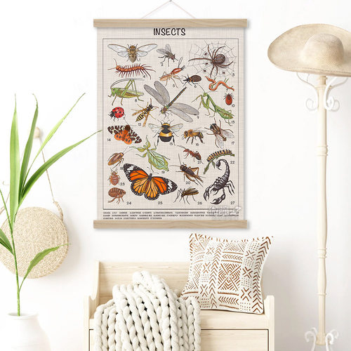 常见昆虫装饰画甲虫蜘蛛螳螂蜜蜂蚂蚁英文insects海报儿童房挂画