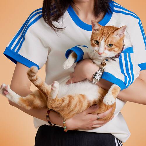 Adidas经典元素刺绣萌趣宠物T恤