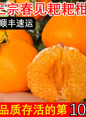 正宗四川春见耙耙柑10斤特级粑粑柑杷杷柑橘应当季新鲜水果旗舰店