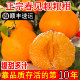 正宗四川春见耙耙柑10斤粑粑杷杷柑丑柑桔橘子应当季 新鲜水果整箱