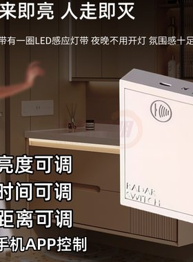 12V雷达感应充电宝LED灯带免插电无线浴室柜鞋柜衣柜阳台感应灯