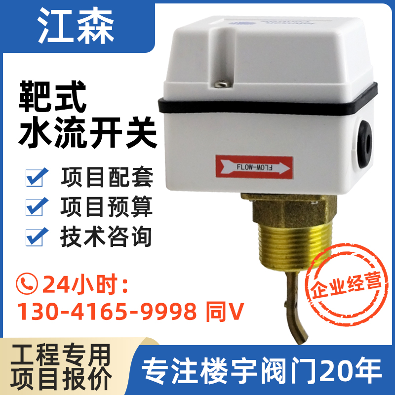 Johnson江森水流开关原装靶式流量计FS80-C流量开关传感器控制器-封面