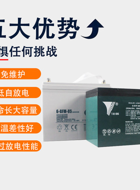 中力搬运车原装蓄电池85A65A30A合力杭州电动叉车电瓶锂电池配件