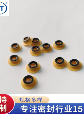 赛默飞离子色谱货号075768原装密封圈适用型号ICS5000+ ICS6000