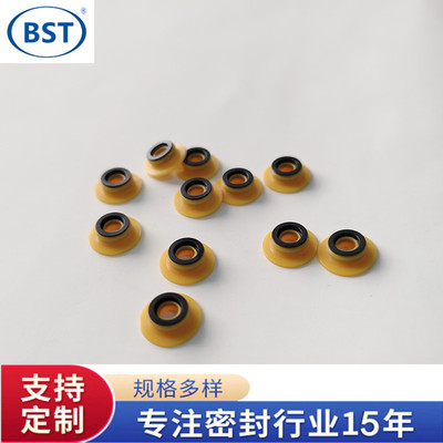 赛默飞离子色谱货号075768原装密封圈适用型号ICS5000+ ICS6000