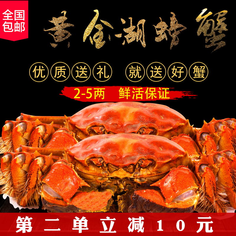 活螃蟹 湖北大冶 黄金湖大闸蟹 顺丰空运包邮 死蟹包赔 全母2.5两