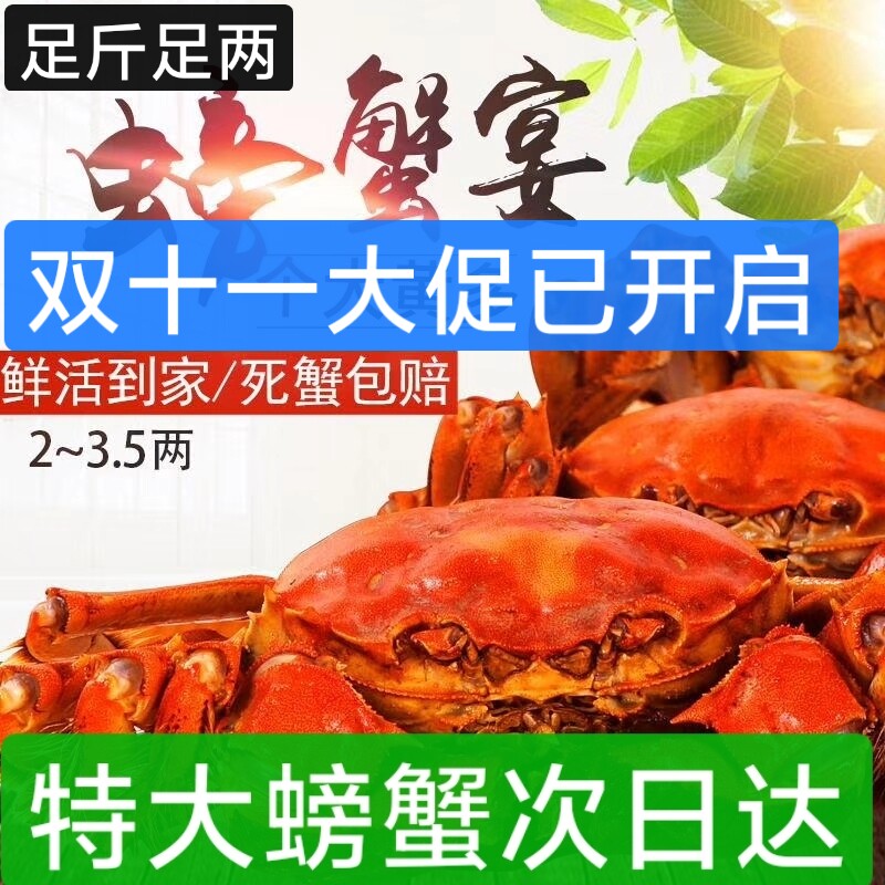 3.5两全母蟹 湖北黄石大冶黄金湖螃蟹大闸蟹鲜活全国包邮顺丰包邮