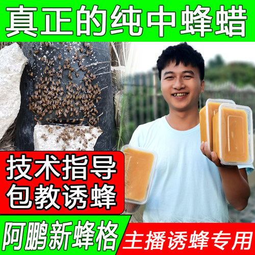 阿鹏新蜂格诱蜂纯中蜂蜡招引诱蜂