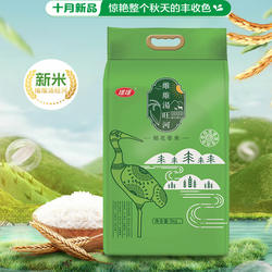 正宗黑龙江汤原县维维汤旺河新米产地直供稻花香软糯香甜