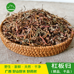 杠板归新鲜原生现采蛇倒退广西中草药带状腰蛇泡皮肤湿痒洗澡包邮