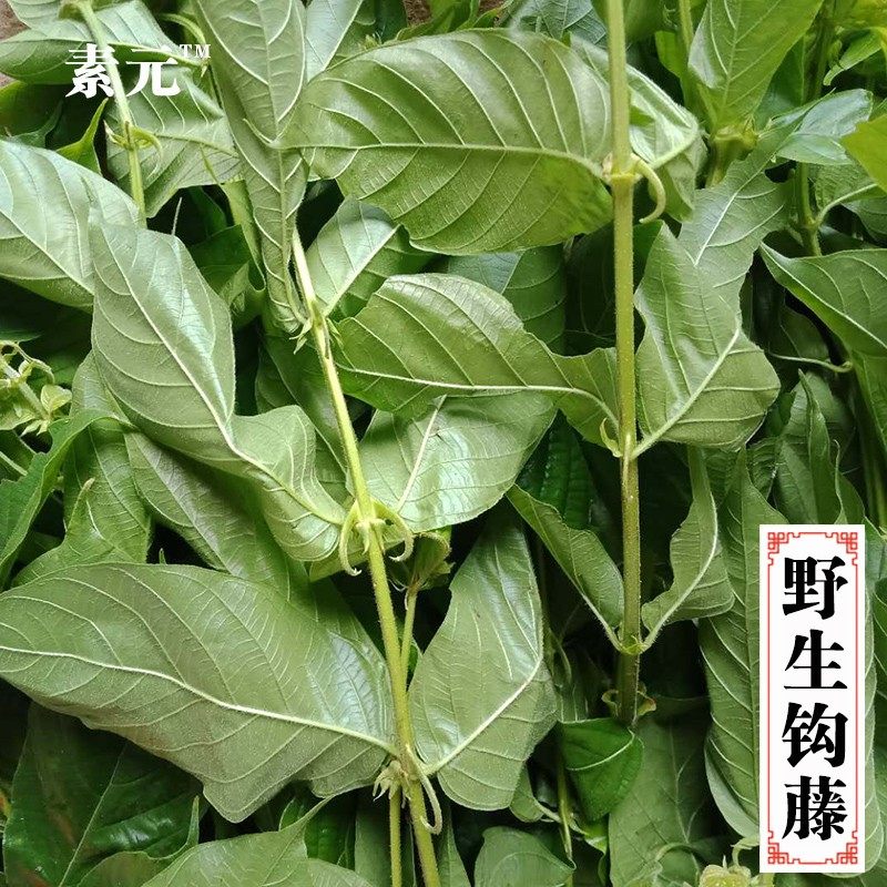 广西现采新鲜倒钩藤 钩丁吊藤中草药材鹰爪风倒挂刺双钩藤 包邮